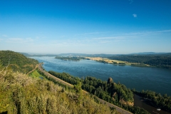 Columbia River Gorge Looking West from Vista House