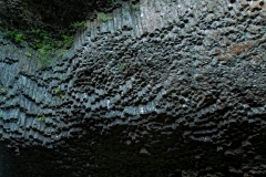 Latourell Falls Oregon Lichen-covered Columnar Basalt Wall