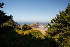 Ocola State Park Oregon Coast