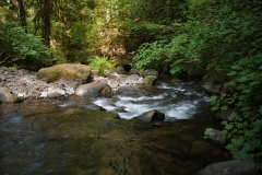 Trail to Falls Creek Falls Oregon