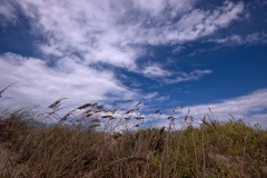 Dunes Padre Island National Seashore