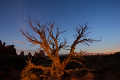 Arches National Park Windows Tree at Night