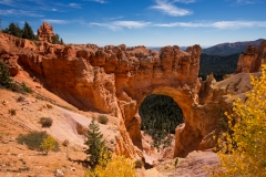 Bryce Canyon National Park Overlook 4