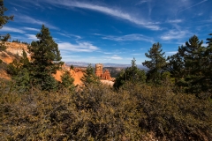 Bryce Canyon National Park Overlook 6