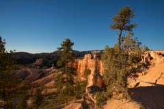 Bryce Canyon National Park Walking on the Queens Garden and Navajo Trails 3