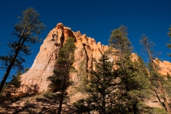 Bryce Canyon National Park Walking on the Queens Garden and Navajo Trails Canyon Floor 2