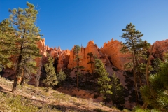 Bryce Canyon National Park Walking on the Queens Garden and Navajo Trails Canyon Floor 3