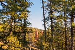 Bryce Canyon National Park Walking on the Queens Garden and Navajo Trails