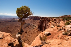 Canyonlands National Park Island Along Grand View Point Trail