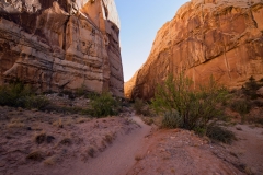 Capitol Reef National Park Capitol Gorge Trail Beginning of Trail