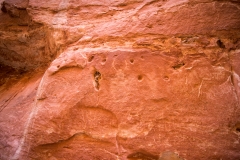 Capitol Reef National Park Capitol Gorge Trail Indian Petroglyph 2