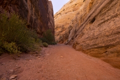 Capitol Reef National Park Capitol Gorge Trail