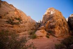 Capitol Reef National Park Capitol GorgeTrail Along the Trail