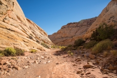 Capitol Reef National Park Gorge Trail Walking Along the Trail 3