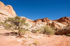 Capitol Reef National Park Gorge Trail Walking Along the Trail 6