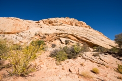 Capitol Reef National Park Gorge Trail Walking Along the Trail 7