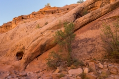 Capitol Reef National Park Gorge Trail Wall Along Trail 2