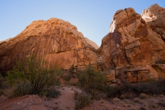 Capitol Reef National Park Gorge Trail Wall Along Trail