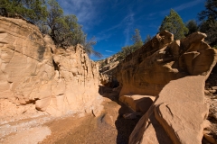 Grand Staircase Escalante Willis Creek Trail 11