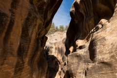 Grand Staircase Escalante Willis Creek Trail 4