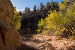 Grand Staircase Escalante Willis Creek Trail 6