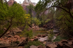 Zion National Park Lower Emerald Pool