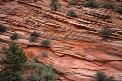 Zion National Park Rock Layers