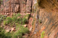 Zion National Park Standing Under the Weeping Rock Overhang