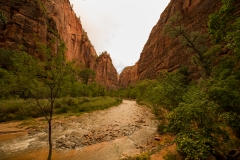 Zion National Park Temple of Sinawava Area 3