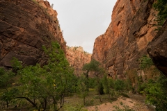 Zion National Park Temple of Sinawava Area 4