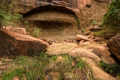 Zion National Park Temple of Sinawava Area Water Seeping out of the Rock Wall