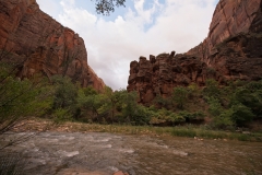 Zion-National-Park-Temple-of-Sinawava-Area