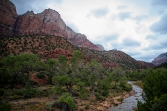 Zion National Park Virgin River Cloudy Morning