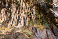 Zion National Park Weeping Rock