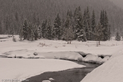 Stream_Flowing_Lamar_Valley_Heavy_Snow_Storm_Yellowstone